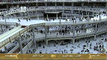 سورة النحل An-Nahl - سعود الشريم Saudi Quran HD