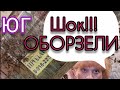 Купить недвижимость на юге/Разница цены, между агенством и собственником/пгт Афипский