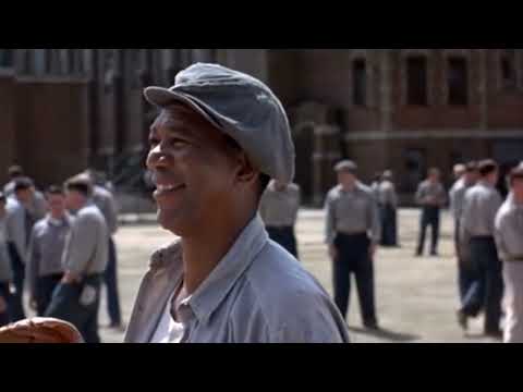 الخلاص من شاوشانك سجين يهرب بحفر نفق في حائط الزنزانة على مدي ١٩ سنة