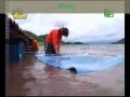 لقطات من عيش سفاري