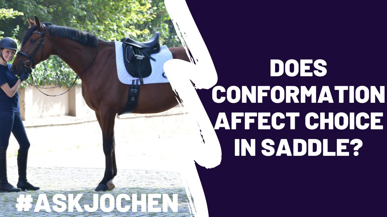 Conformation and Saddle Choice | #ASKJochen | Livestream Q&A Excerpt ...
