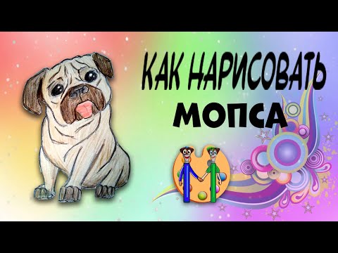 Как нарисовать мопса. Онлайн-школа рисования "Малевашки"