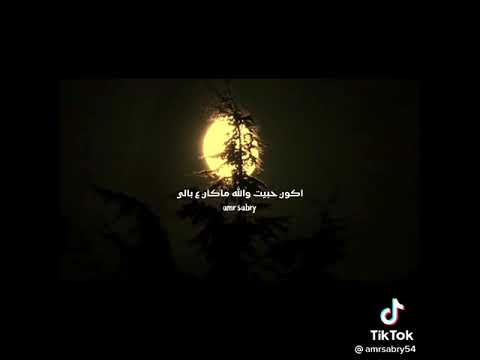 حالات واتس عمرو دياب قمرين