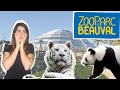 Vlog au Zoo de Beauval - Dome , Téléphérique et Pandas