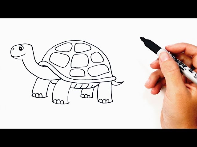 Aprende Dibujar y Pintar Una Tortuga - Videos Para Niños - Dibujos Faciles  / FunKeep Art 