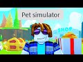 The Roblox Pet Simulator Experience 2