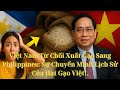 Việt Nam Từ Chối Xuất Gạo Sang Philippines Sự Chuyển Mình Lịch Sử Của Hạt Gạo Việt!