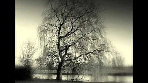 Bury Me Beneath the Weeping Willow Tree