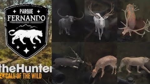 ALL Animals Diamond On Parque Fernando💎 | Thehunter call of the wild