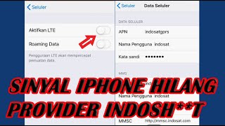 Solusi Data Seluler iPhone Hilang Untuk Indosat