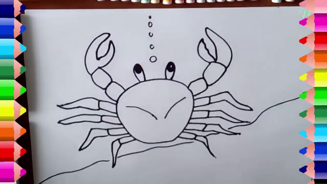 Hướng dẫn vẽ con cua - Hướng dẫn vẽ con cua- How to draw a crab ...