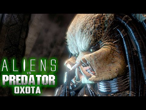 Видео: Охота на Людей и Чужих - ALIEN vs PREDATOR Прохождение #10