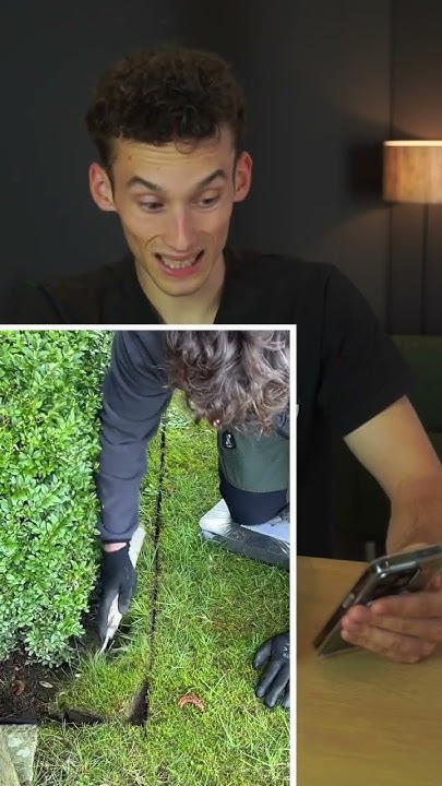 Wie macht ihr die Ecken von eurem Rasen? YouTube