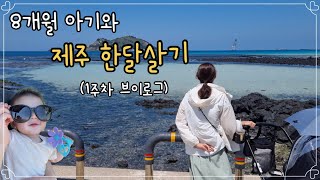 (제주한달살기_1주) 8개월 아기와 함께 제주로 떠난 가족의 1주차 브이로그ㅣ아기비행기ㅣ제주차량탁송ㅣ제주현지맛집ㅣ제주가볼만한곳ㅣ제주카페ㅣ제주여행