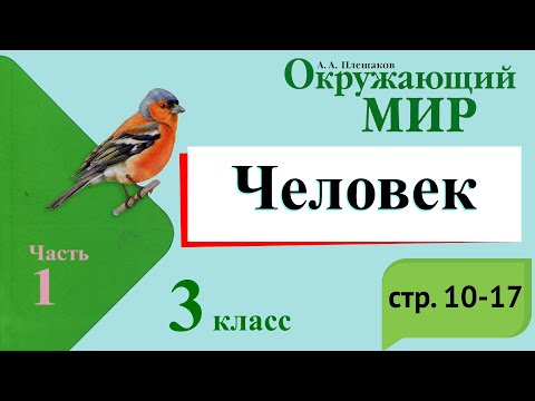 Человек. Окружающий мир. 3 класс, 1 часть. Учебник А. Плешаков стр. 10-17