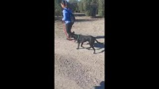 Alexa Vip - Opvang Greet