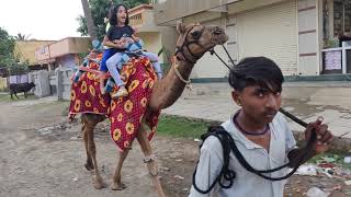 My First camel ride  Aarya