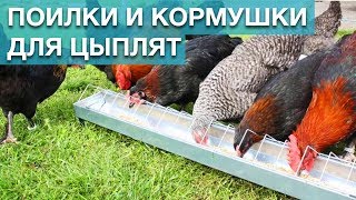 КОРМУШКИ, ПОИЛКИ ДЛЯ ЦЫПЛЯТ И МОЛОДНЯКА. Обзор кормушек и поилок на ферме.