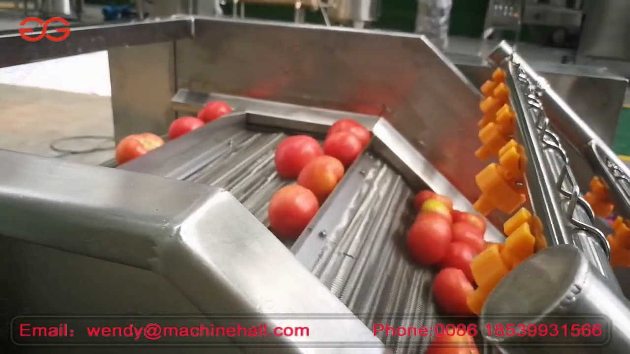 Automatic Tomato Washing And Drying Machine YouTube