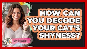 How Can You Decode Your Cat