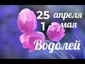 ВОДОЛЕЙ 25 апреля-1 мая/AQUARIUS TAROT/水瓶座塔羅牌/Vodnářský tarot/Tarot du Verseau/Tarot tUisceadóir.