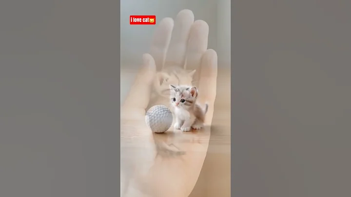 Watch the video about What if Kittens Were Miniature? #minikitten #miniaturecat #tinykittens#cat
