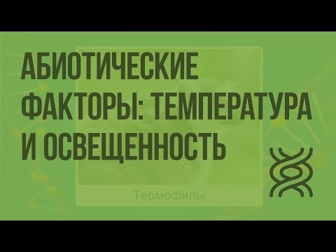 Абиотические факторы: температура и освещенность. Видеоурок по биологии 11 класс