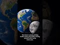Did you know #science #space #knowledge #shorts #subscribe for more!
