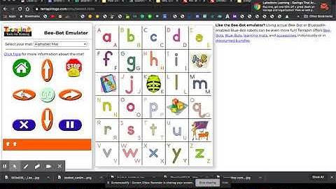 Using the Beebot Emulator