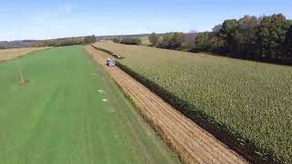Chopping corn 2019! | Smith’s Stock Farms