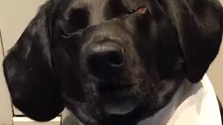 Tinker virtually visits with you!