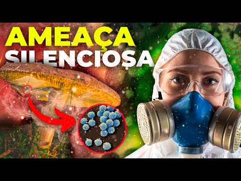 Vídeo: Plantas e fungos perigosos para humanos