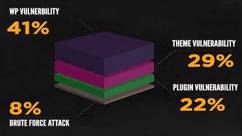 Wordpress Anti Hacking Plugin