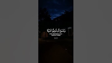 وعسى ان تكرهوا شيئاً وهو خير لكم♥️🌱| ماهر المعيقلي | سورة البقرة