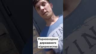 Наркоохорона державного підприємства, де торгували дубом з Чорнобиля #наркоохорона #Чорнобиль #дуб