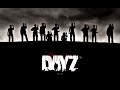 Dayz