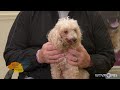 8/13/2026 | Funyun, Hot Cheetos and Number 45 | Mark's Furry Friends