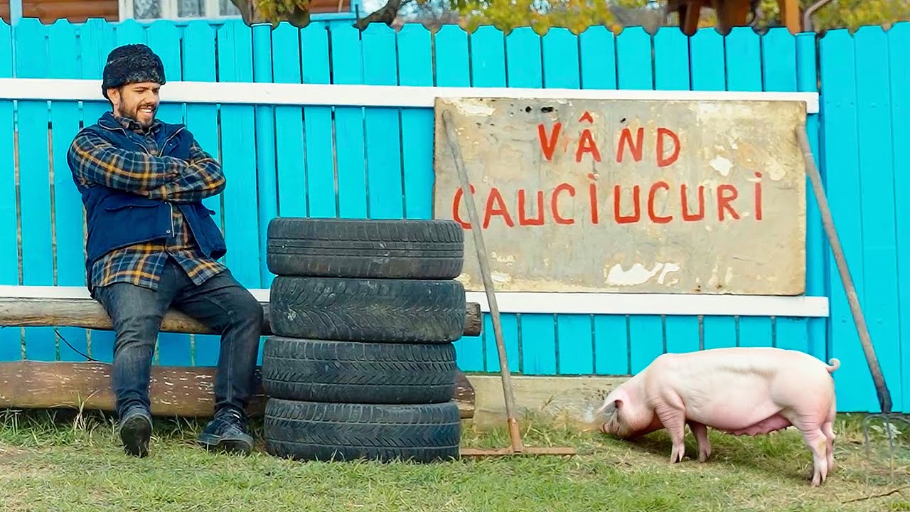 Porcul și Cauciucurile de Iarnă #3chestii