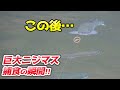 初心者でも簡単に釣れる!裾野フィッシングパーク攻略法【エリアトラウト・管理釣り場】/HartDesign TV(ハートデザインTV) 【Vol.334】