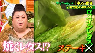 マツコの知らない世界 最先端野菜レタス！300年続く農家秘伝サラダ超え激旨レシピ