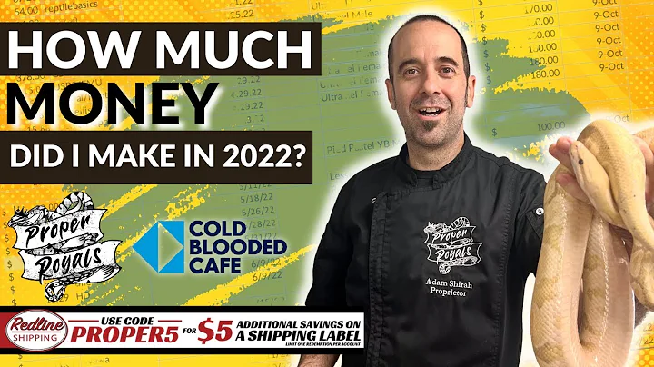 How Much Money did I Make in 2022 Breeding Ball Pythons?!