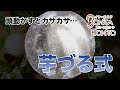 #耳掃除 ズルズル…芋づる式