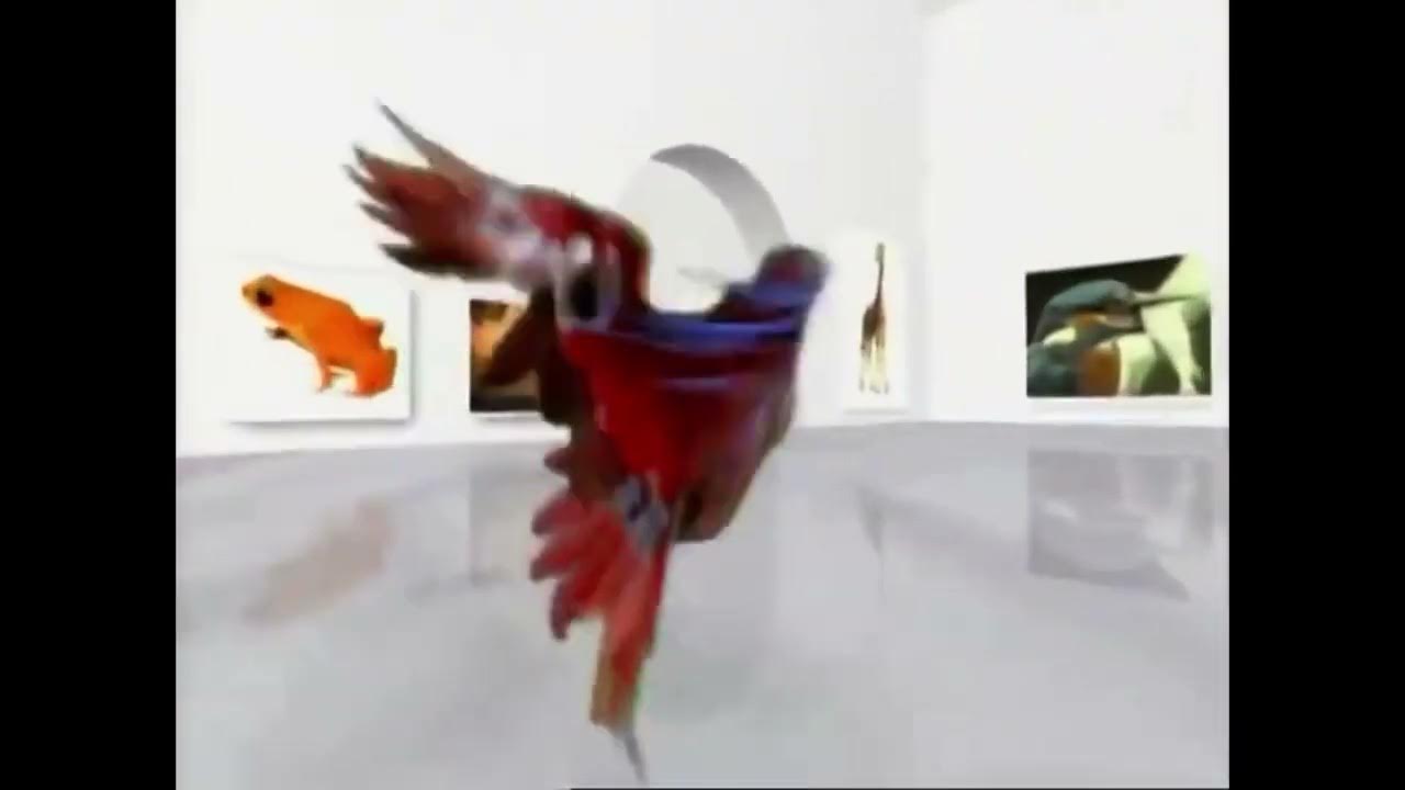 Eyewitness Intro (REAL Correct Pitch) YouTube