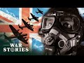 How Did Britain Stop The Luftwaffe In 1940? | Battle of Britain | War Stories