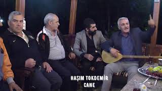 Haşim Tokdemir (Cane Cane)