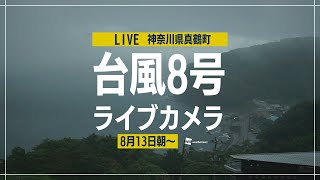 【LIVE】台風8号ライブカメラ（神奈川県真鶴町） 2022.8.12~