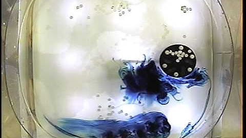 Taylor Column Experiment at Johns Hopkins University (Top View)