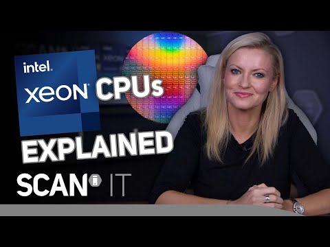 Video: Xeon è migliore di i7 per il rendering?