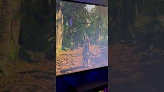Dell G3223Q Blickwinkel/Viewing Angel