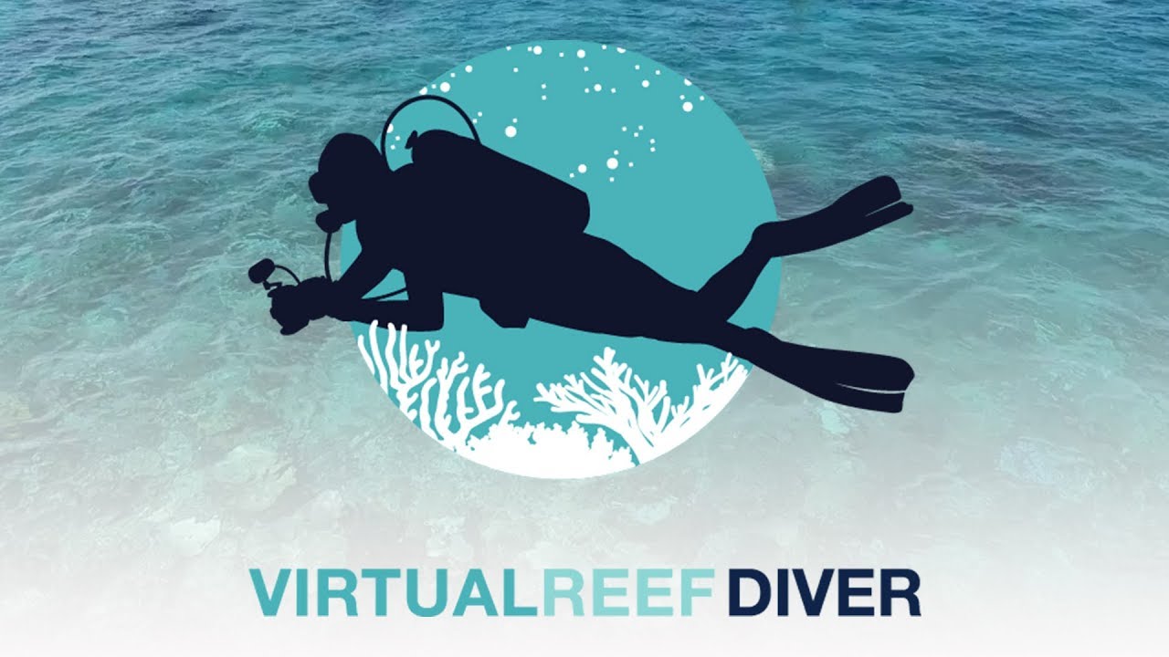 Dive project. Dive team. scuba diving pizza delivery man.
